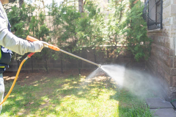 Wasp Removal Services in North Hudson, WI